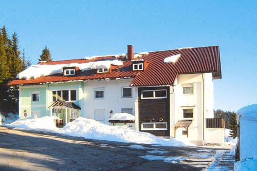 a house with snow on top of it at Apartment in Haidm hle with balcony or terrace in Haidmühle