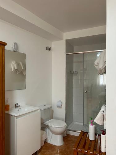 biała łazienka z toaletą i prysznicem w obiekcie A Casa de Santos w mieście Combarro