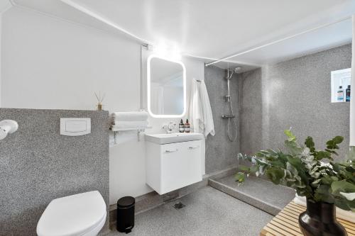 a bathroom with a white toilet and a sink at Amazing Villa in Downtown Reykjavik in Reykjavík