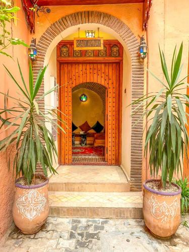 two plants in large pots in front of a door at RIAD AMNAY in Taroudant
