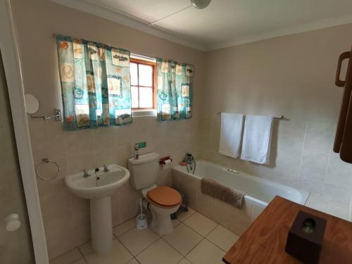 a bathroom with a sink and a toilet and a tub at Eagles' Rock in Underberg