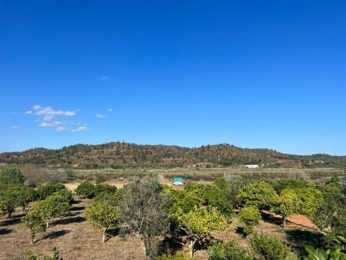 a view of a field with trees and a mountain at Quinta with orange and lemon trees in Silves