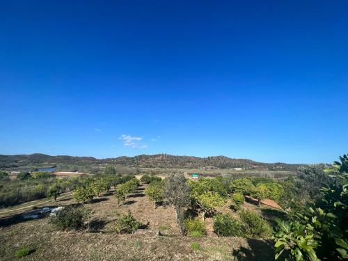 a view of a field with trees and a blue sky at Quinta with orange and lemon trees in Silves