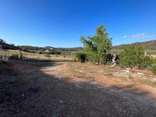 a dirt road with trees on the side of a field at Quinta with orange and lemon trees in Silves