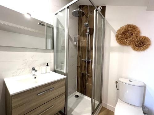 La salle de bains est pourvue d'une douche, d'un lavabo et de toilettes. dans l'établissement Appartement ~ Sunset Paddle ~ à 15min de Lyon, à Miribel