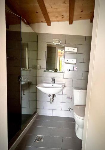 a bathroom with a sink and a toilet at Nefeli Traditional House in Alonnisos