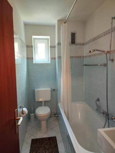 a bathroom with a toilet and a tub and a shower at Apartement Wald-Panorama Fuchsenstein in Spiegelau