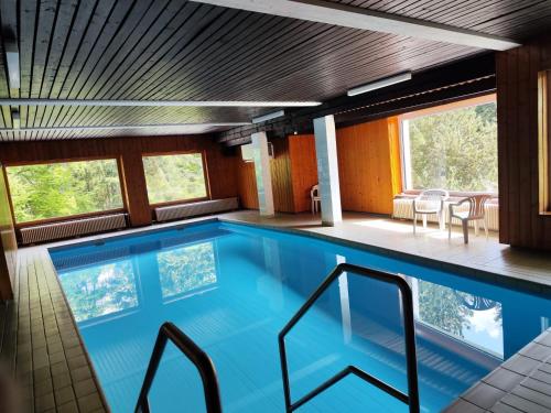 a large swimming pool with blue water in a house at Apartement Wald-Panorama Fuchsenstein in Spiegelau