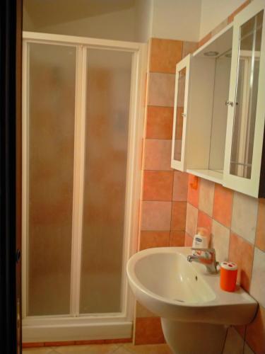un baño con lavabo y ducha en Le Rose, en Olmedo