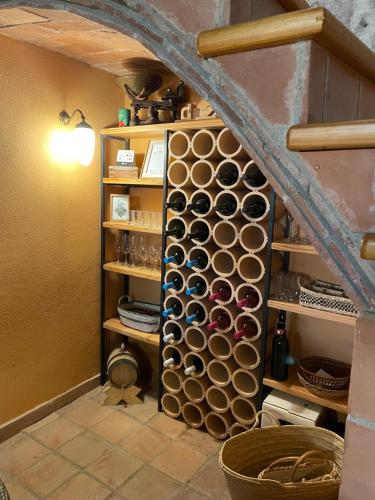 a room with a shelf filled with lots of bottles at Can Clarós in Capmany