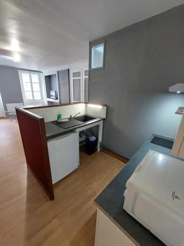 a kitchen with a sink and a counter top at Appartement Le Suly in Salins-les-Bains