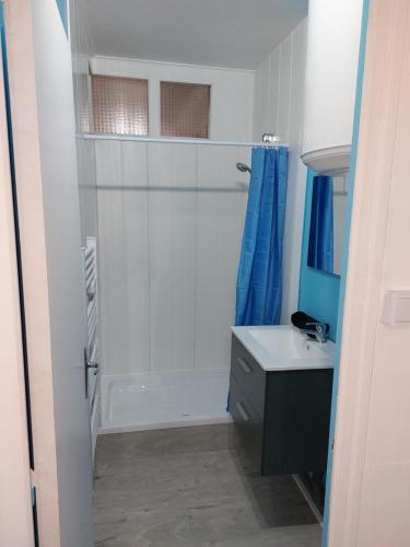 a white bathroom with a sink and a shower at Appartement Le Suly in Salins-les-Bains