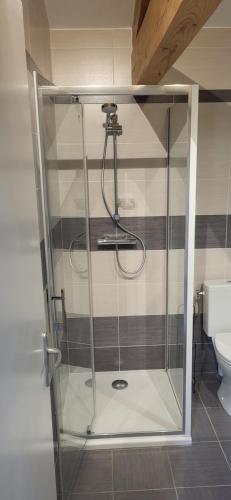 La salle de bains est pourvue d'une douche en verre et de toilettes. dans l'établissement Maisonnette en pierre rénovée, à Lamastre