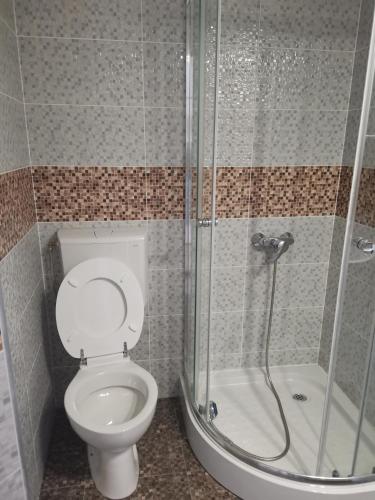 ein Bad mit einem WC und einer Dusche in der Unterkunft Casa Mariș in Cluj-Napoca