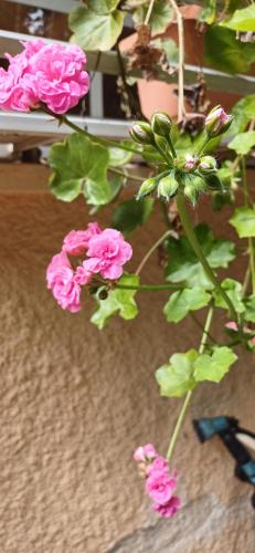 Imagen de la galería de וילה גלילית עם ג'קוזי מפנק, en Qiryat ‘Amal