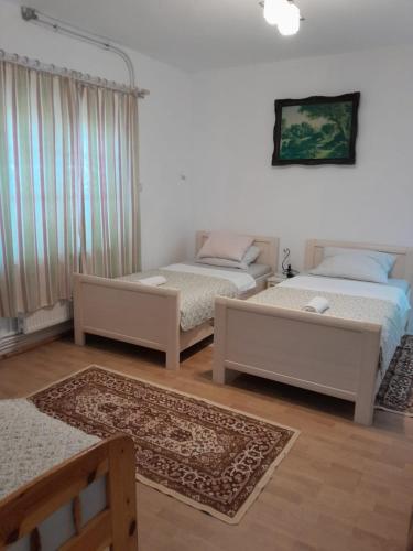 Un pat sau paturi într-o cameră la Casa Olga Deva