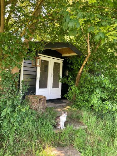 a cat sitting in the grass in front of a house at Hoeve de Snippert in Groenlo