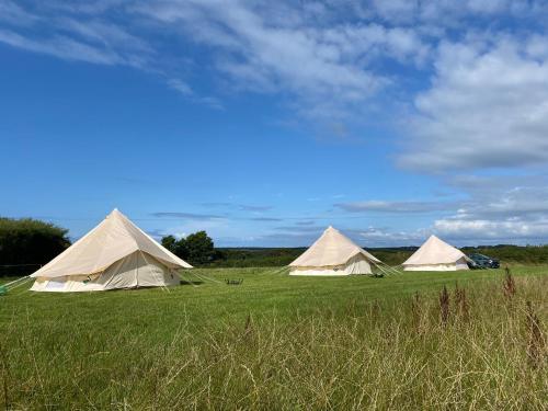 um grupo de tendas num campo de relva em Unfurnished Bell Tent close to SWC path em Hartland