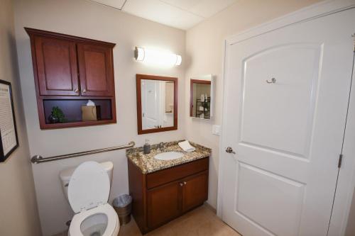 a bathroom with a toilet and a sink and a mirror at Stay at the Historic Inman in Champaign