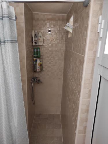 La salle de bains est pourvue d'une douche avec rideau de douche. dans l'établissement Endiktis Art Home, 