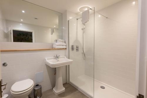 a bathroom with a shower and a toilet and a sink at The Wishful Thinker in Kent
