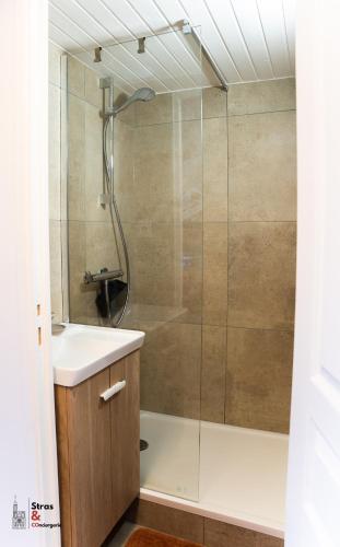 une salle de bain avec douche et lavabo dans l'établissement Lyam, à Strasbourg