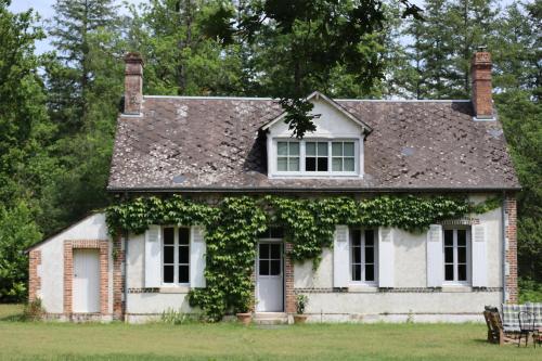 una vieja casa con hiedra creciendo en ella en Gîte-Région centre-Sologne 41 proche Lamotte Beuvron, en Nouan-le-Fuzelier