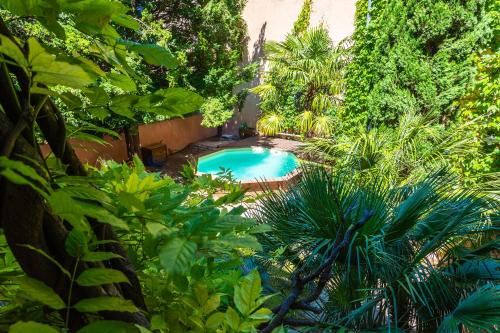 une piscine dans un jardin planté d'arbres et de plantes dans l'établissement Le Gîte du Carmel, à Carpentras
