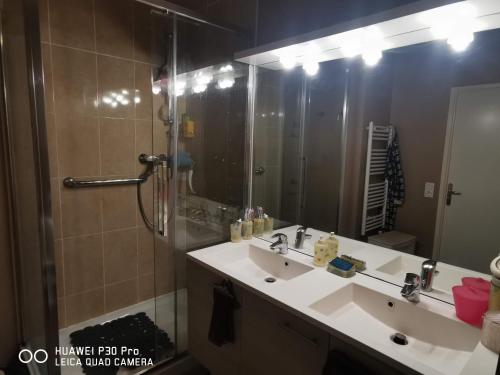 a bathroom with a sink and a shower and a mirror at Love Room Chambre Privée Chez Habitant proche gare rer 5 minute à pied in Aulnay-sous-Bois