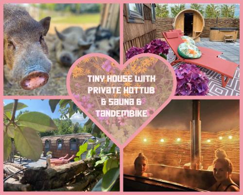 uma colagem de imagens com um porco e um coração em Bed & Wellness Klein Knorrestein with 2 romantic sustainable tiny house, use private hottub, sauna, tandembike included in price, just 30 minutes from Amsterdam em Almere