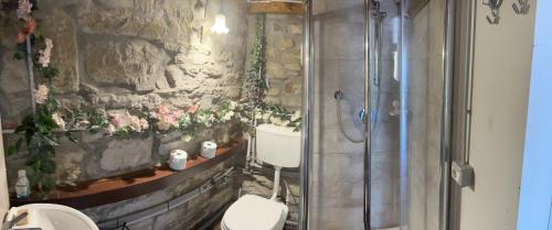 a bathroom with two toilets and a shower at Le Mulina ristoro in Barberino di Mugello