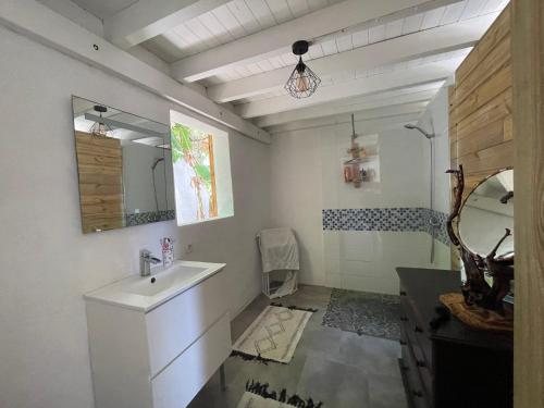 W łazience znajduje się umywalka i lustro. w obiekcie Le Paradis créole w mieście Terre-de-Haut