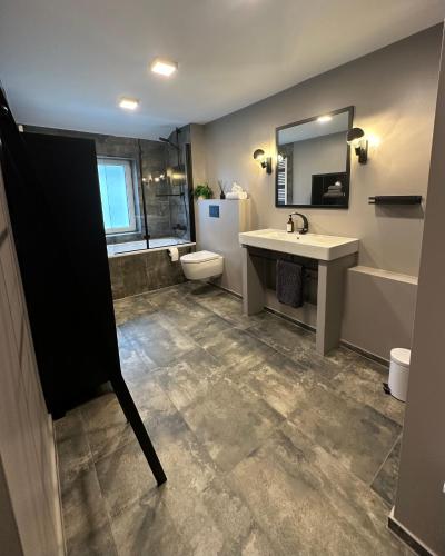 a bathroom with a sink and a toilet and a mirror at Remise-Berlin-Grünau your cozy and comfortable home to stay for up to 6 people between Müggelsee and Berlin city in Berlin