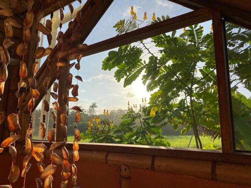 Playa Cataro Boutique Ecolodge A – Photos 5
