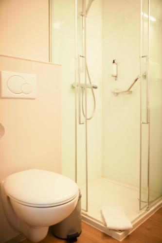 a bathroom with a toilet and a shower at Alfa Inn in Blankenberge