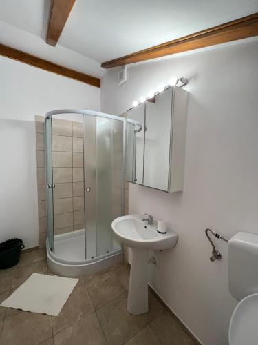 Vonios kambarys apgyvendinimo įstaigoje CASA MARA CHALET & SPA Bran