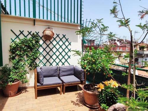 un banc installé sur une terrasse ornée de plantes dans l'établissement LA CASA BLU, à Naples
