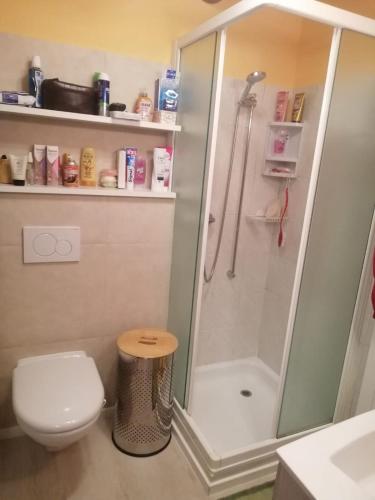 een kleine badkamer met een douche en een toilet bij Rustico Chiara in Sonogno