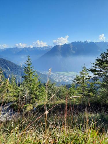 a view from the top of a mountain with trees at my Relaxs little Villa in Bludenz