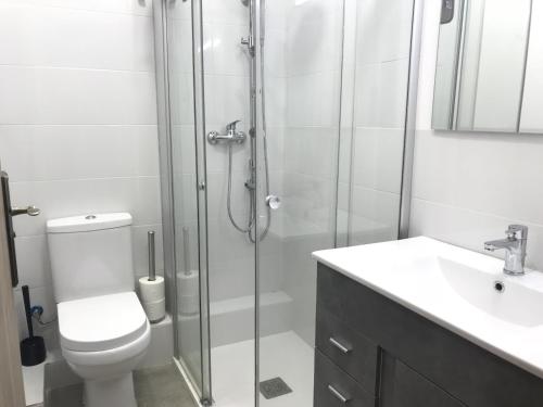 ein Bad mit einer Dusche, einem WC und einem Waschbecken in der Unterkunft BorrullApart in Valencia