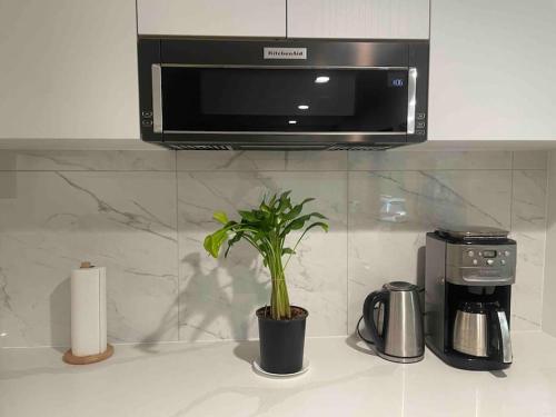 a plant sitting on a kitchen counter with a microwave at World’s Most butful neighborhood in West Vancouver
