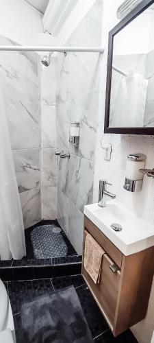 a bathroom with a shower with a sink and a mirror at C.-Habitación con baño privado / Centro de Coyoacan in Mexico City