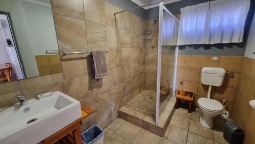 a bathroom with a shower and a toilet and a sink at Botuin Cottages in Vanrhynsdorp