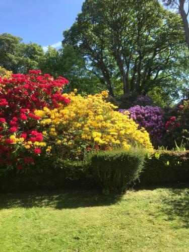 un jardín de flores de colores con árboles en el fondo en Wee House in beautiful surroundings Maybole, en Maybole