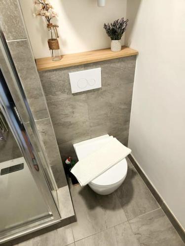 une salle de bain avec des toilettes blanches et une douche dans l'établissement Petit studio en plein centre-ville de Vendôme, à Vendôme