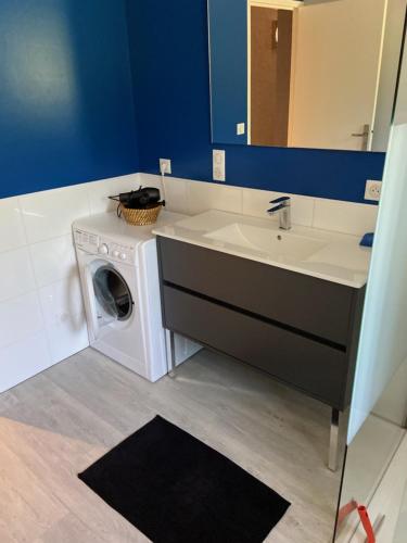 une salle de bain avec une machine à laver et un lavabo dans l'établissement appartement 