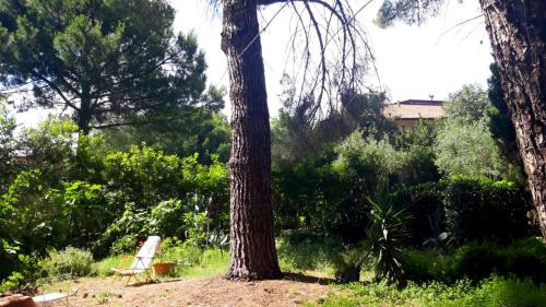 Taman di luar B&B Etnea Centoundici