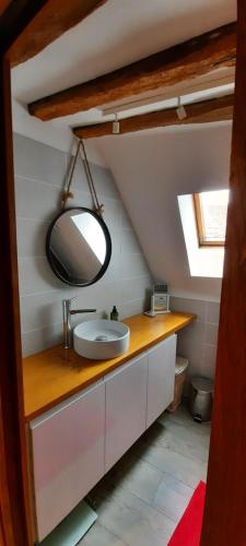 une salle de bain avec un lavabo et un miroir dans l'établissement appartement atypique, à Dijon