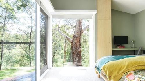 a bedroom with a large window with a tree outside at Wyuna Hepburn Springs in Hepburn Springs