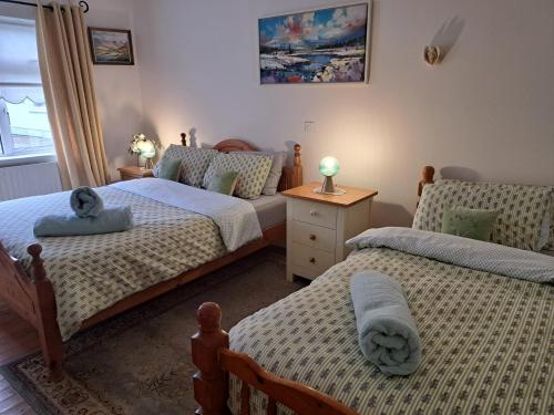 a bedroom with two twin beds and a window at Coreen Guest House in Tullamore